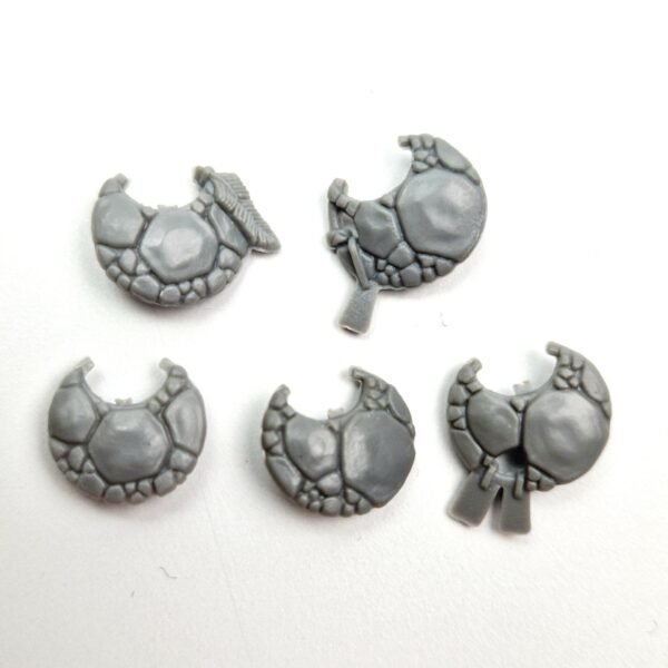 Lizardmen Skinks Shields