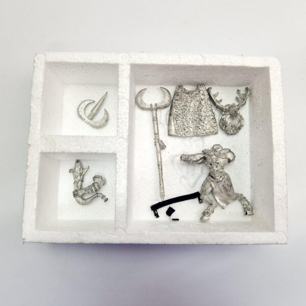 Wood Elves Orion King in the Woods