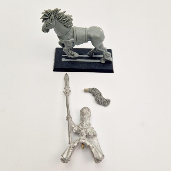 Wood Elves Glade Rider Champion Wood Elves Glade Rider Champion