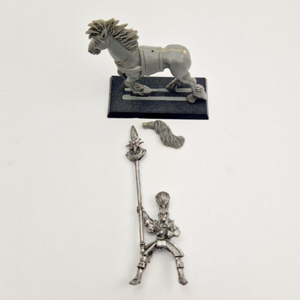 Wood Elves Glade Rider Standard Bearer Wood Elves Glade Rider Standard Bearer