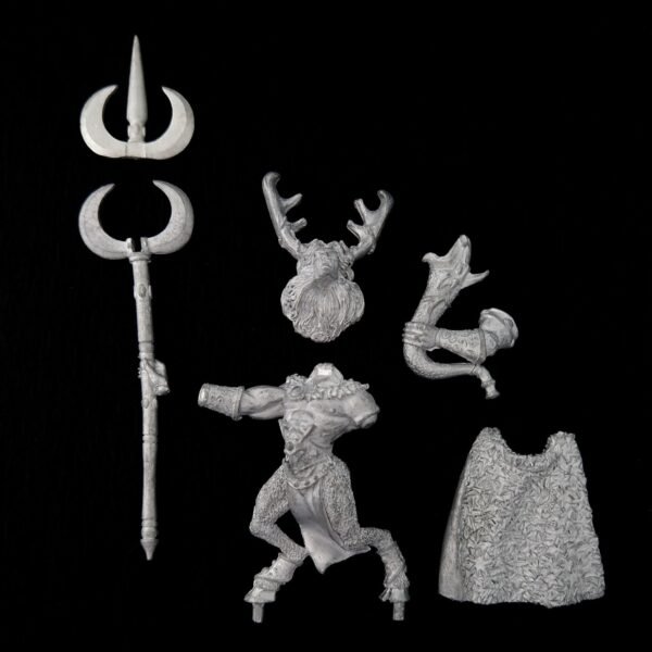 Wood Elves Orion King in the Woods