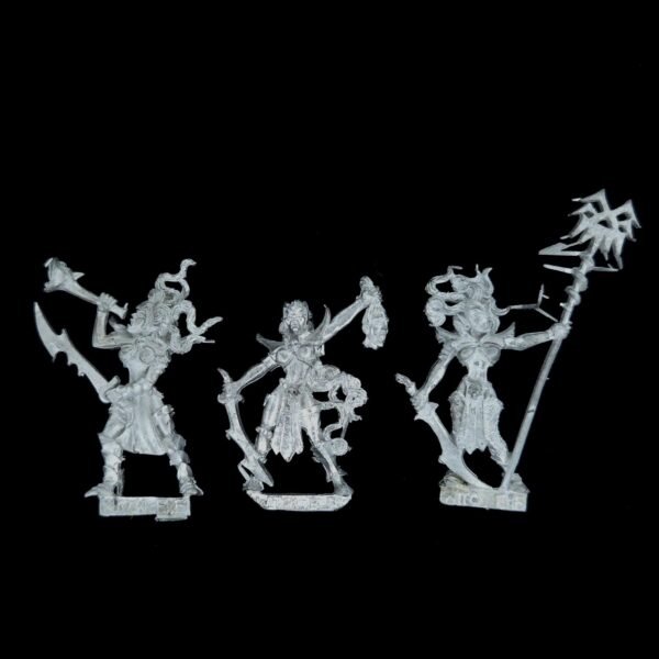 Dark Elves Witch Elves Command