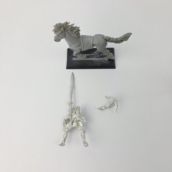 Dark Elves Dark Rider Dark Elves Dark Rider