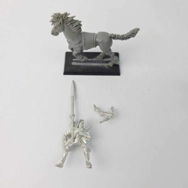 Dark Elves Dark Rider Dark Elves Dark Rider