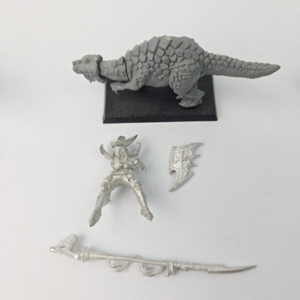 Dark Elves Cold One Knight