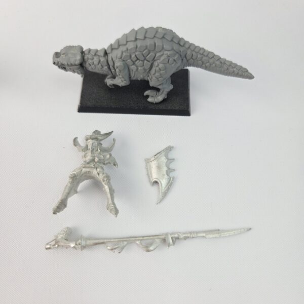 Dark Elves Cold One Knight