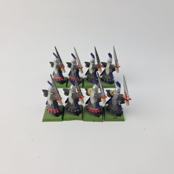 Dark Elves Warriors