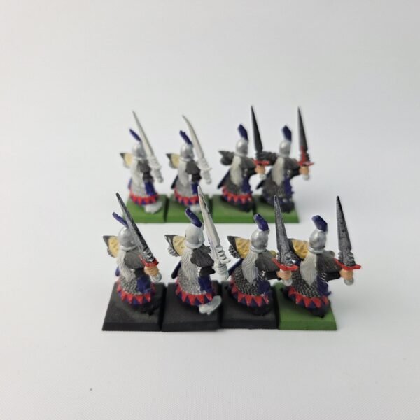 Dark Elves Warriors