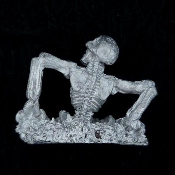 Undead C17 Skeleton
