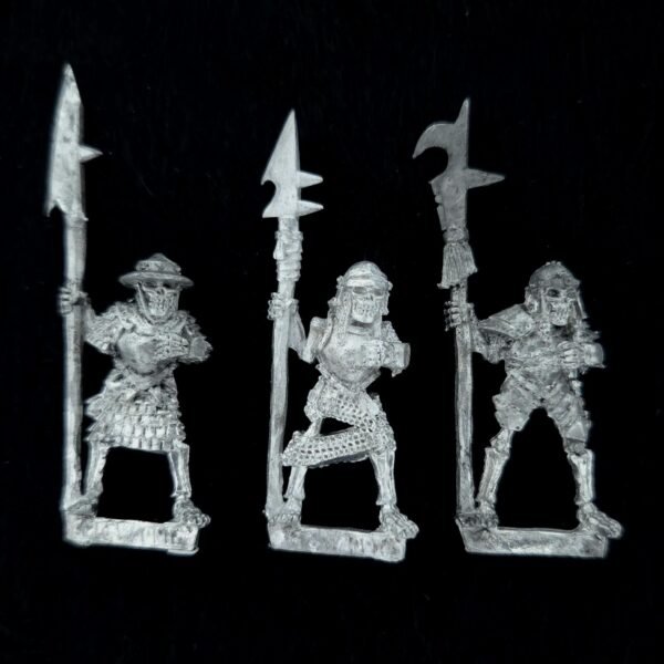 Undead Armoured Skeletons