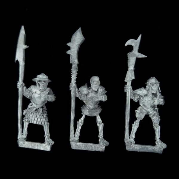 Undead Armoured Skeletons