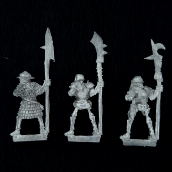 Undead Armoured Skeletons
