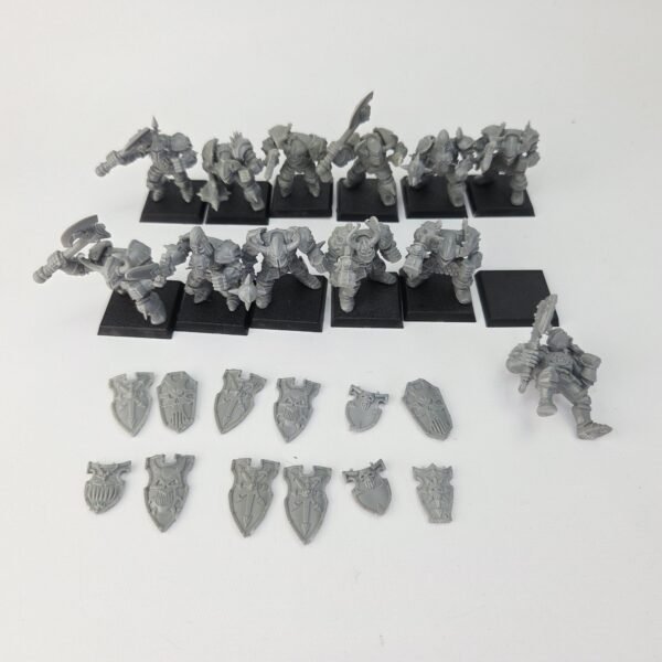 Chaos Warriors Regiment