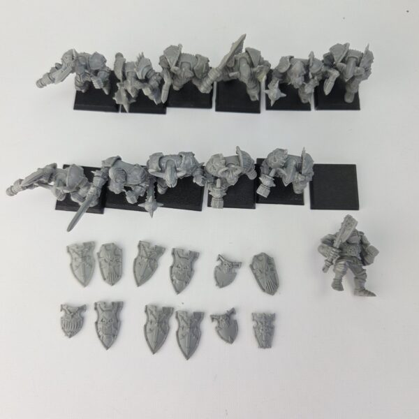 Chaos Warriors Regiment