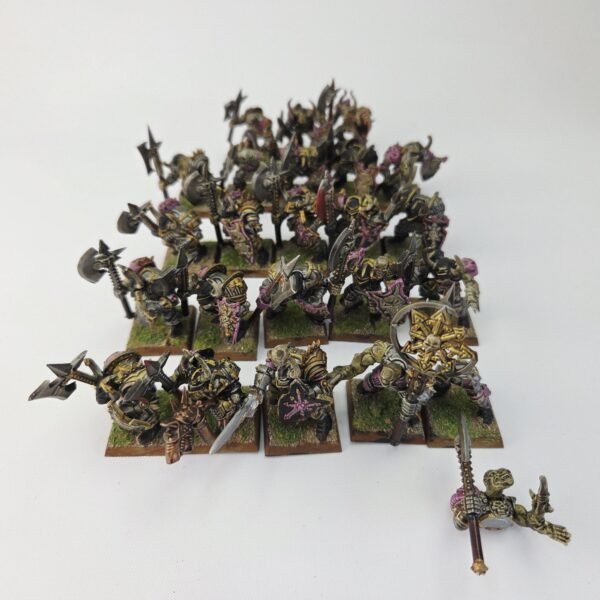 Chaos Warriors Regiment