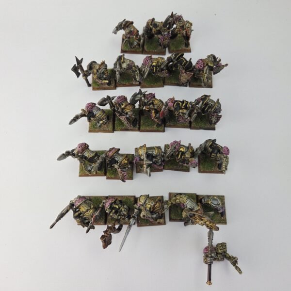 Chaos Warriors Regiment
