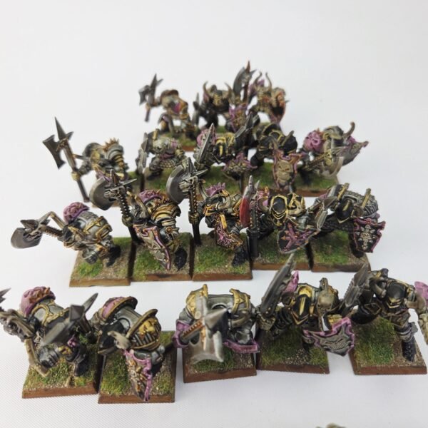 Chaos Warriors Regiment