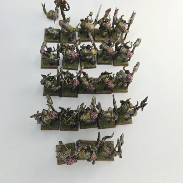 Chaos Warriors Regiment