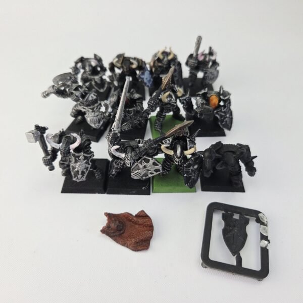 Chaos Warriors Regiment