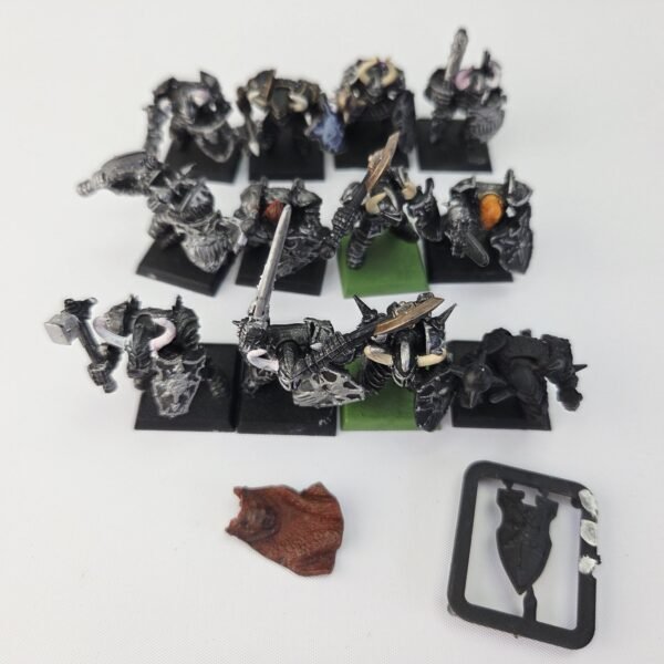 Chaos Warriors Regiment