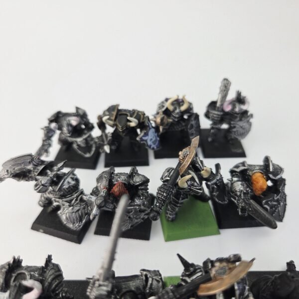 Chaos Warriors Regiment