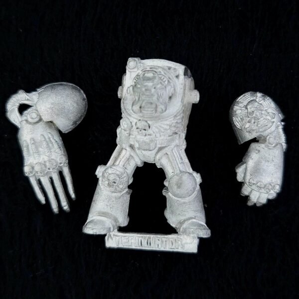 Space Marines Terminator