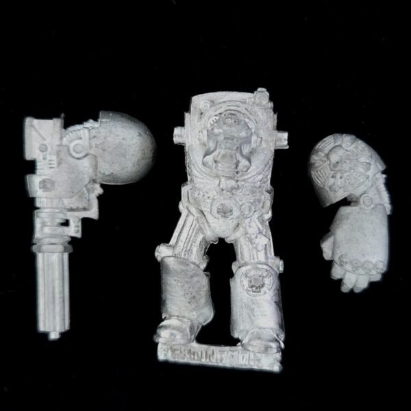 Space Marines Terminator
