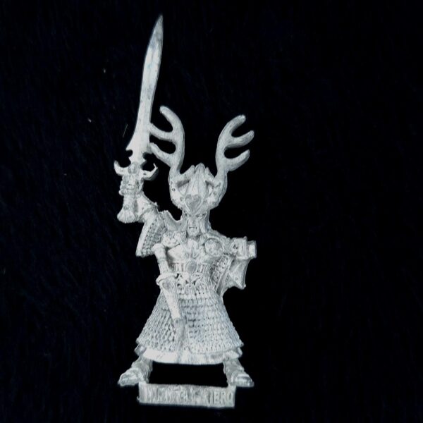 High Elves Champion