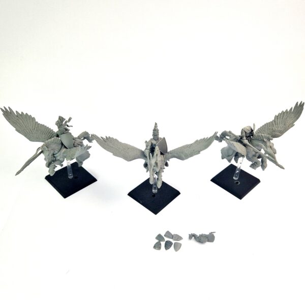 A photo of 6th edition Bretonnian Pegasus Knights warhammer miniatures