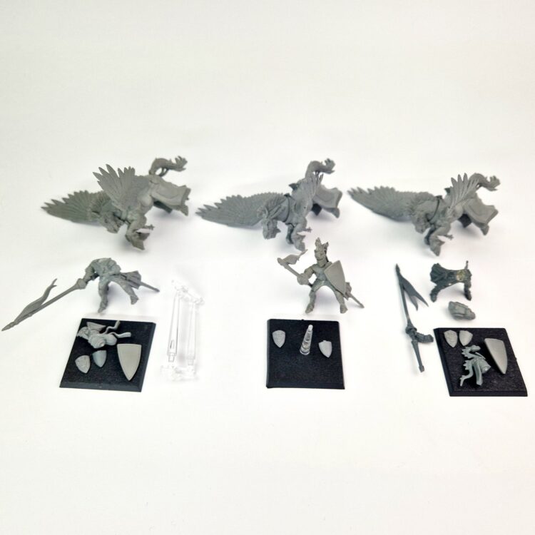 A photo of 6th edition Bretonnian Pegasus Knights warhammer miniatures