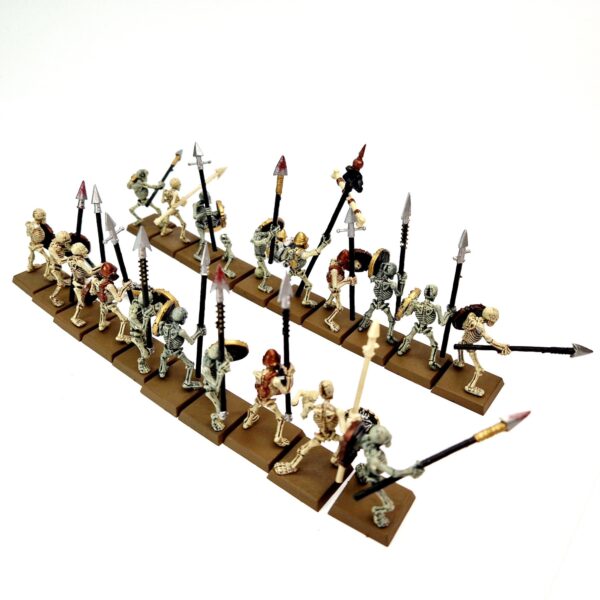 A photo of 5th edition Vampire Counts Skeleton Warriors Warhammer miniatures