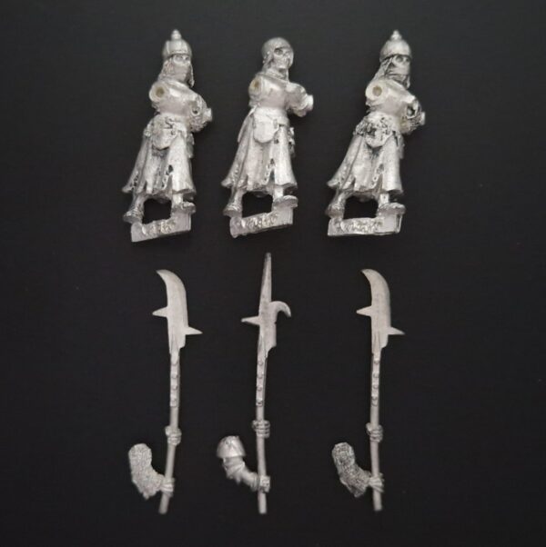 A photo of 5th edition Vampire Counts Grave Guards with Halberds Warhammer miniatures