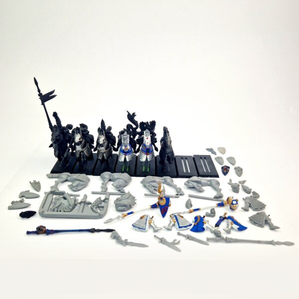 A photo of High Elves Silver Helms Warhammer miniatures