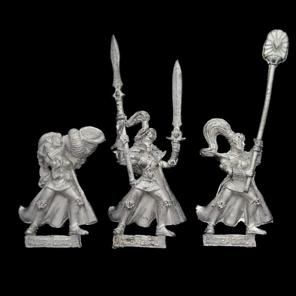 A photo of High Elves Maiden Guard Command Warhammer miniatures