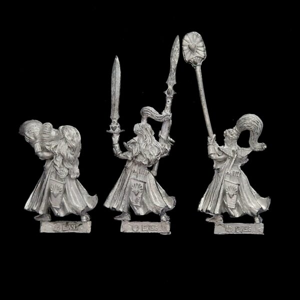 A photo of High Elves Maiden Guard Command Warhammer miniatures