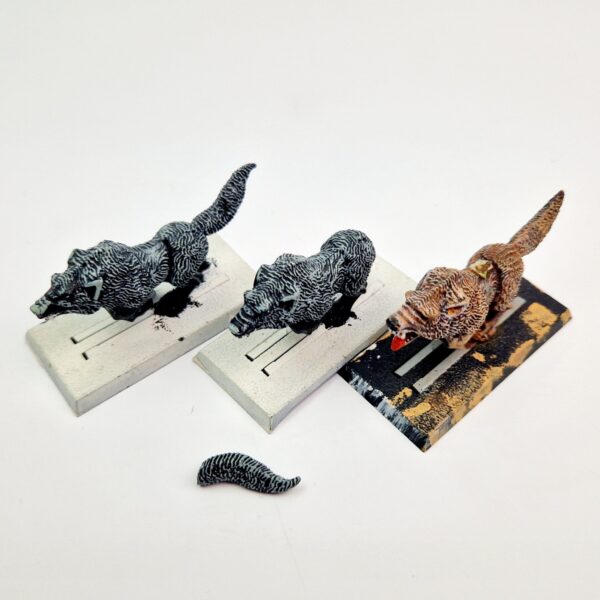 A photo of Orcs and Goblins Wolf Riders Warhammer miniatures