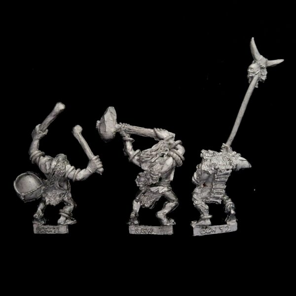 A photo of Orcs and Goblins Savage Orcs Command Warhammer miniatures