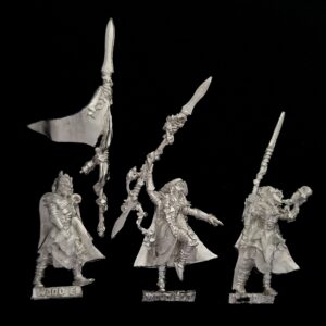 A photo of Wood Elves Eternal Guard Command Warhammer miniatures