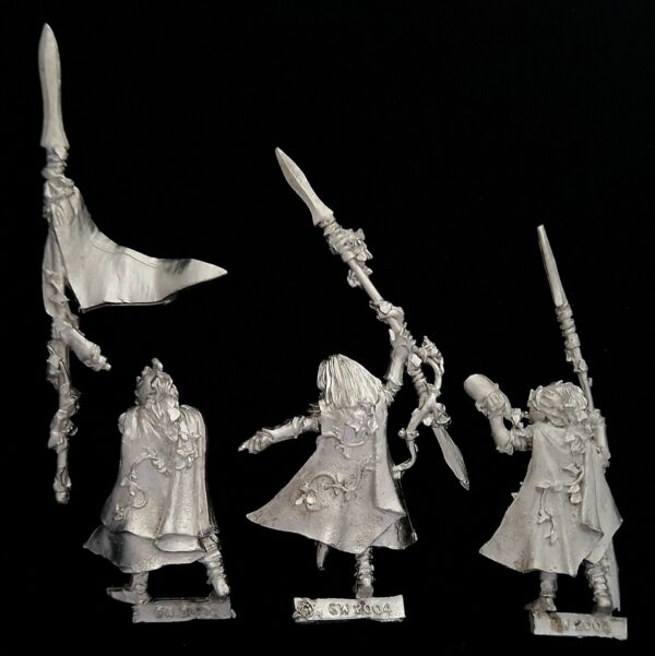A photo of Wood Elves Eternal Guard Command Warhammer miniatures