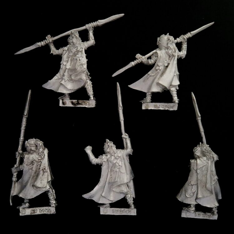 A photo of Wood Elves Eternal Guard Warhammer miniatures