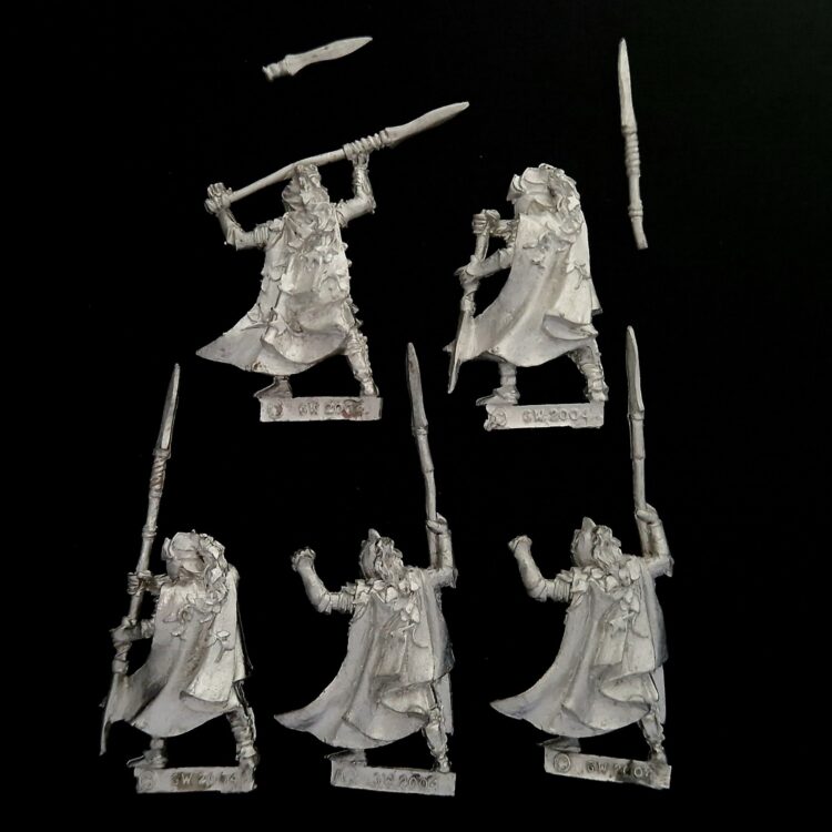 A photo of Wood Elves Eternal Guard Warhammer miniatures