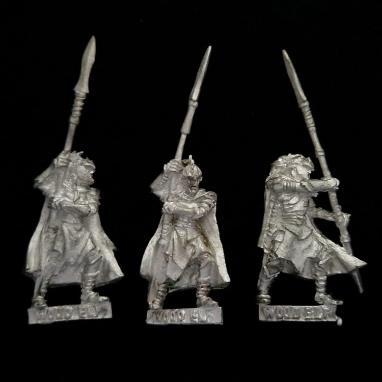 A photo of Wood Elves Eternal Guard Warhammer miniatures