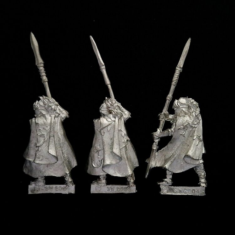 A photo of Wood Elves Eternal Guard Warhammer miniatures