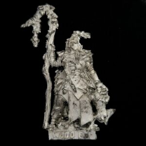 A photo of a Wood Elves Druid Spellsinger Warhammer miniature
