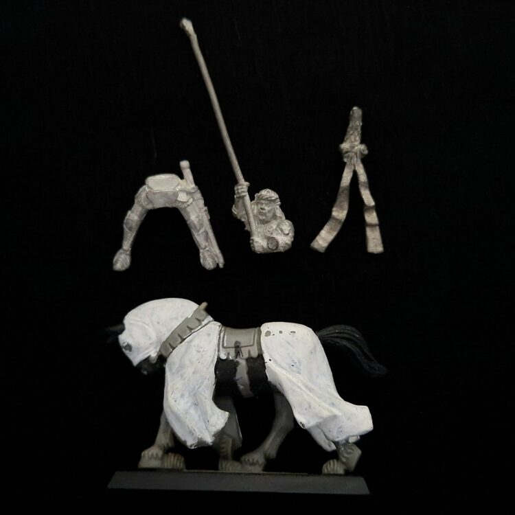 A photo of a Bretonnia Errant Knight Standard Bearer Warhammer miniature