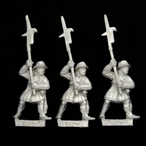 A photo of Bretonnia Men at Arms with Halberds Warhammer miniatures