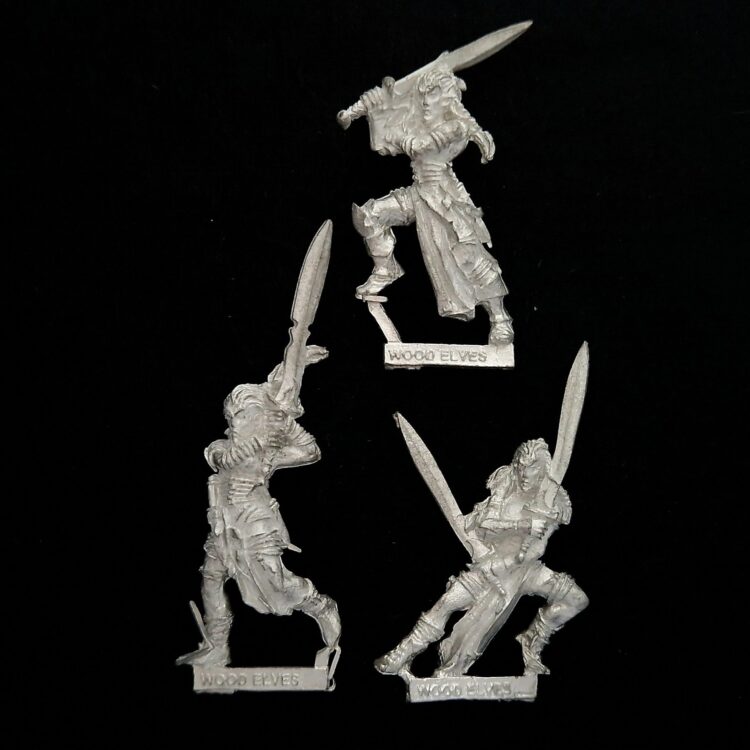 A photo of Wood Elves Wardancers Warhammer miniatures