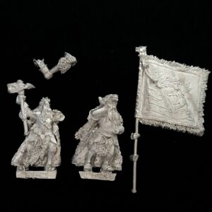 A photo of The Empire Teutogen Guard Command Warhammer miniatures