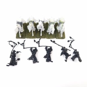 A photo of Vampire Counts Hex Wraiths Warhammer miniatures