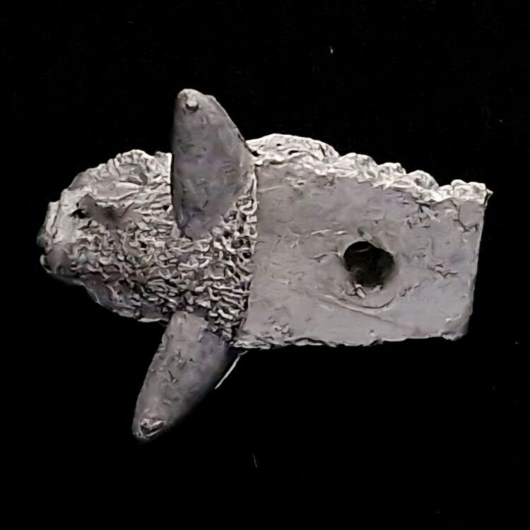 A photo of a Vampire Counts Fell Bat Warhammer miniature